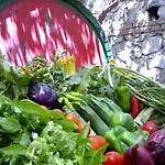 Biologico 'a Lanterna ファームステイ
