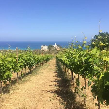 Biologico 'a Lanterna ファームステイ Marina di Monasterace