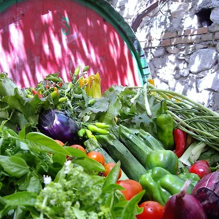 Biologico 'a Lanterna Séjour à la ferme