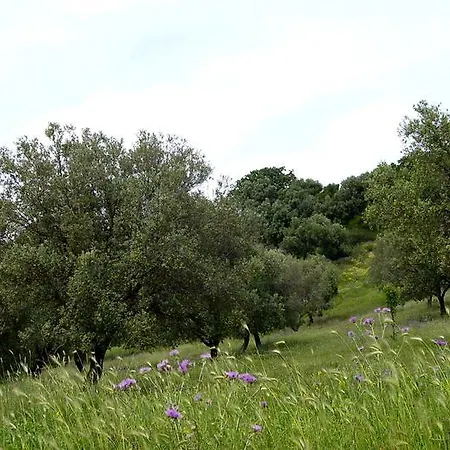 Çiftlik konaklama Biologico 'a Lanterna