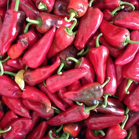 Biologico 'a Lanterna * Marina di Monasterace