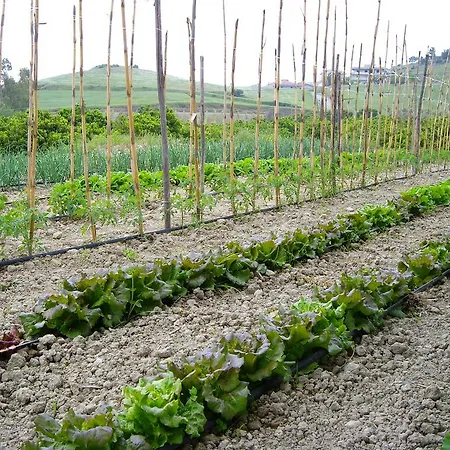 Biologico 'a Lanterna Marina di Monasterace