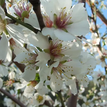 Biologico 'a Lanterna Séjour à la ferme