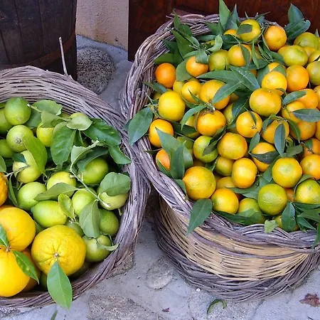 Biologico 'a Lanterna * Marina di Monasterace