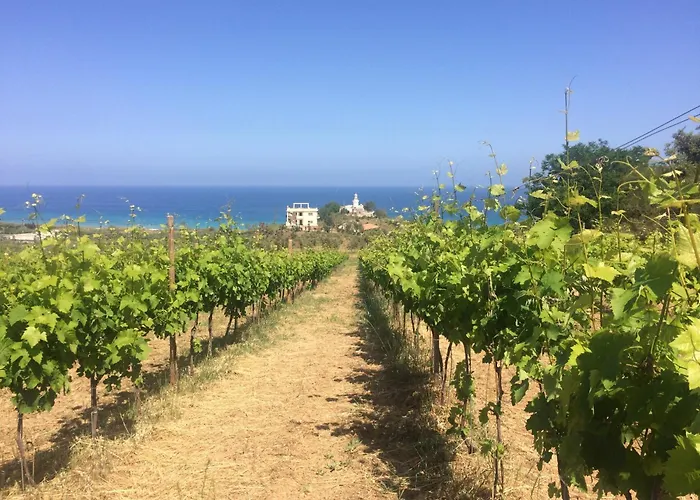 Biologico 'a Lanterna 农家乐 Marina di Monasterace
