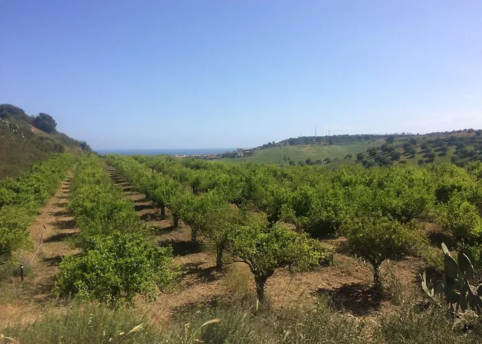 Biologico 'a Lanterna 农家乐