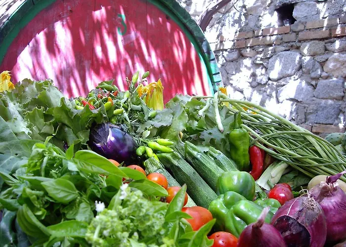 Biologico 'a Lanterna 农家乐