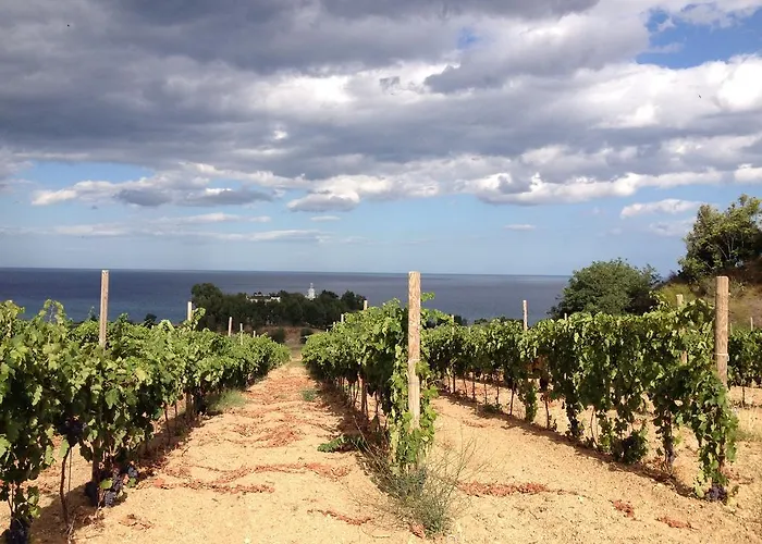 Biologico 'a Lanterna 农家乐