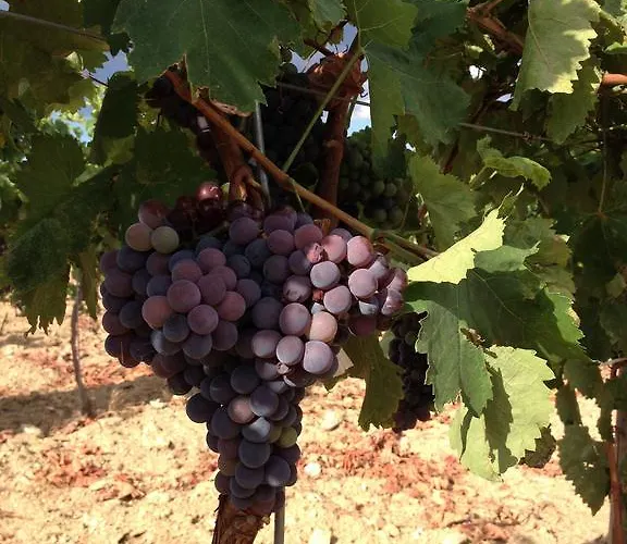 农家乐 Biologico 'a Lanterna Marina di Monasterace