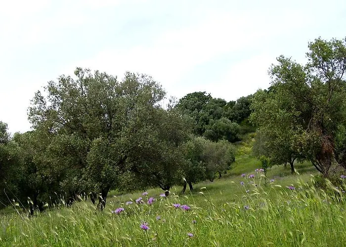 农家乐 Biologico 'a Lanterna