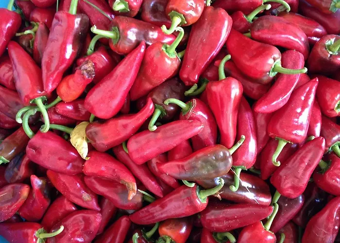 Biologico 'a Lanterna * Marina di Monasterace