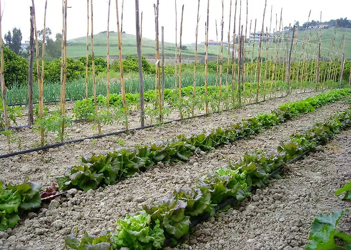 Biologico 'a Lanterna Marina di Monasterace
