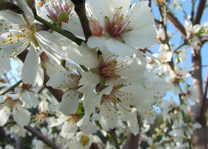 Biologico 'a Lanterna 农家乐